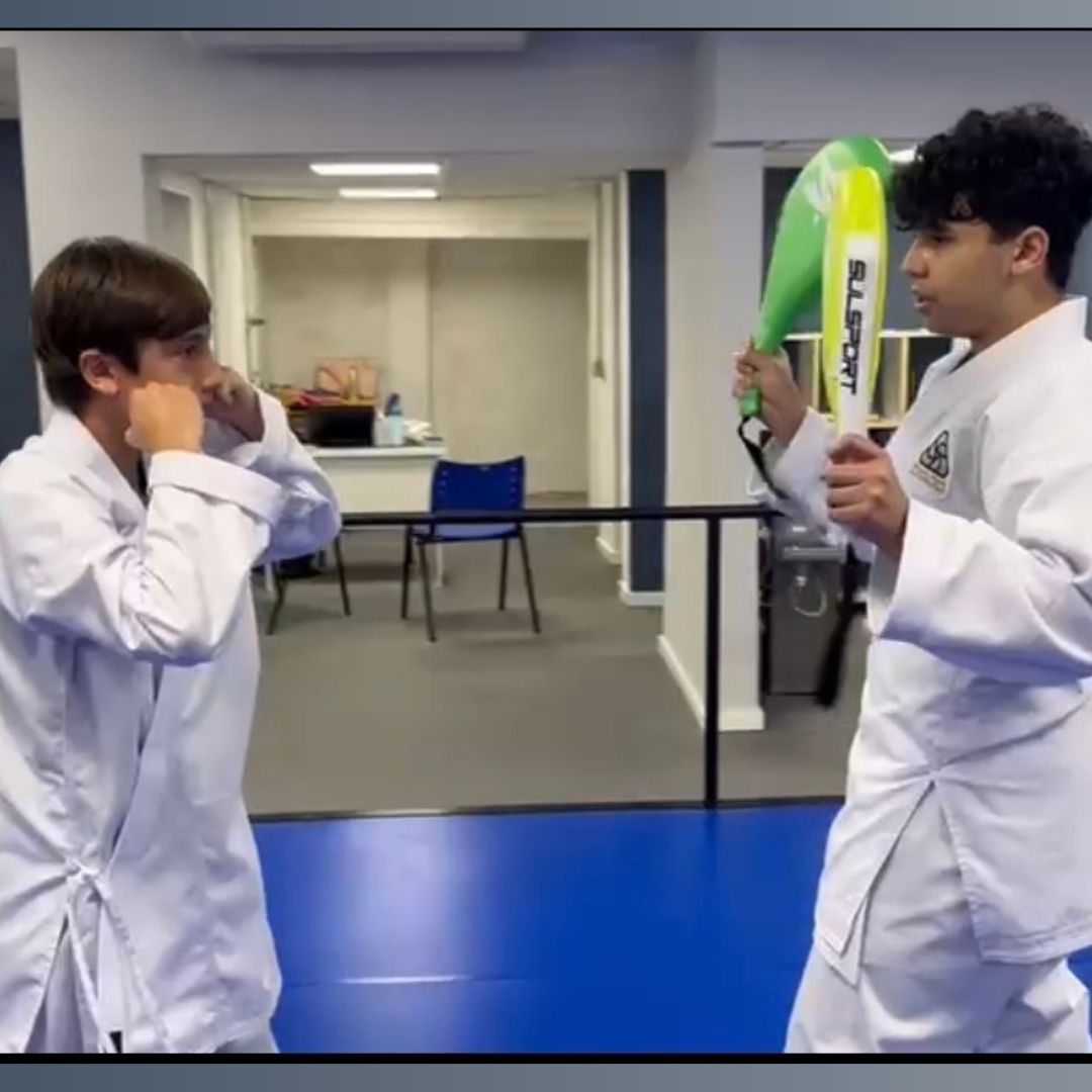 Aula de artes marciais